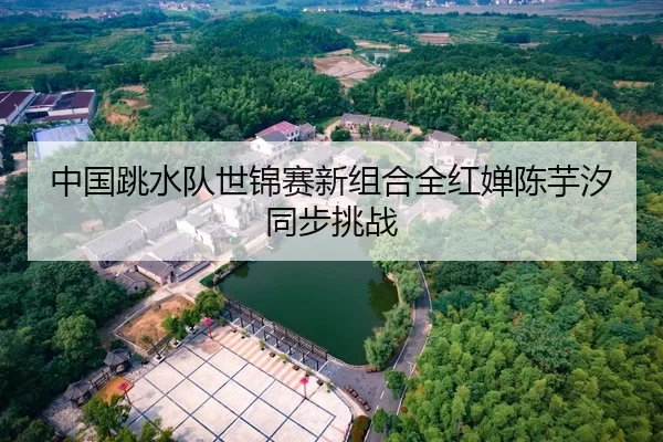 中国跳水队世锦赛新组合全红婵陈芋汐同步挑战