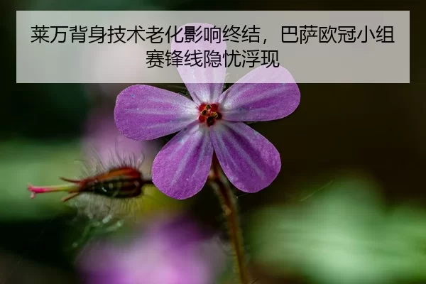 莱万背身技术老化影响终结，巴萨欧冠小组赛锋线隐忧浮现