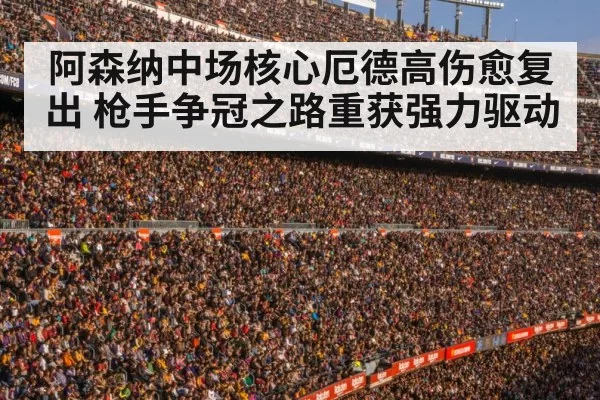 football stadium crowd